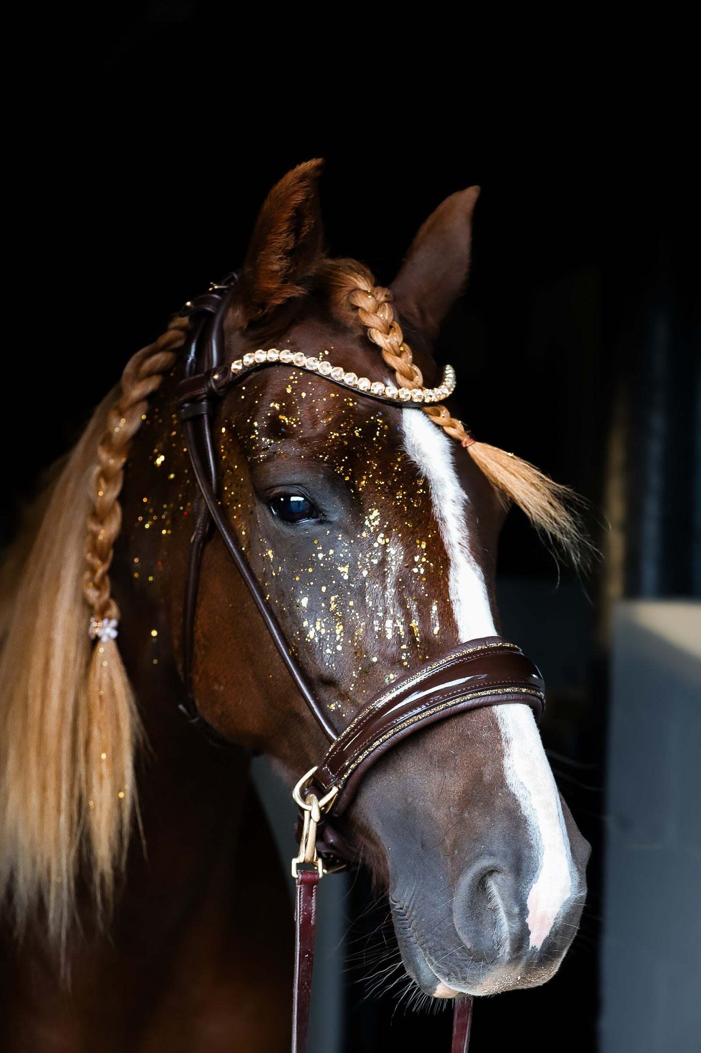 Dova sparkling sidepull bridle in Italian leather with crystal browband on decorated horse