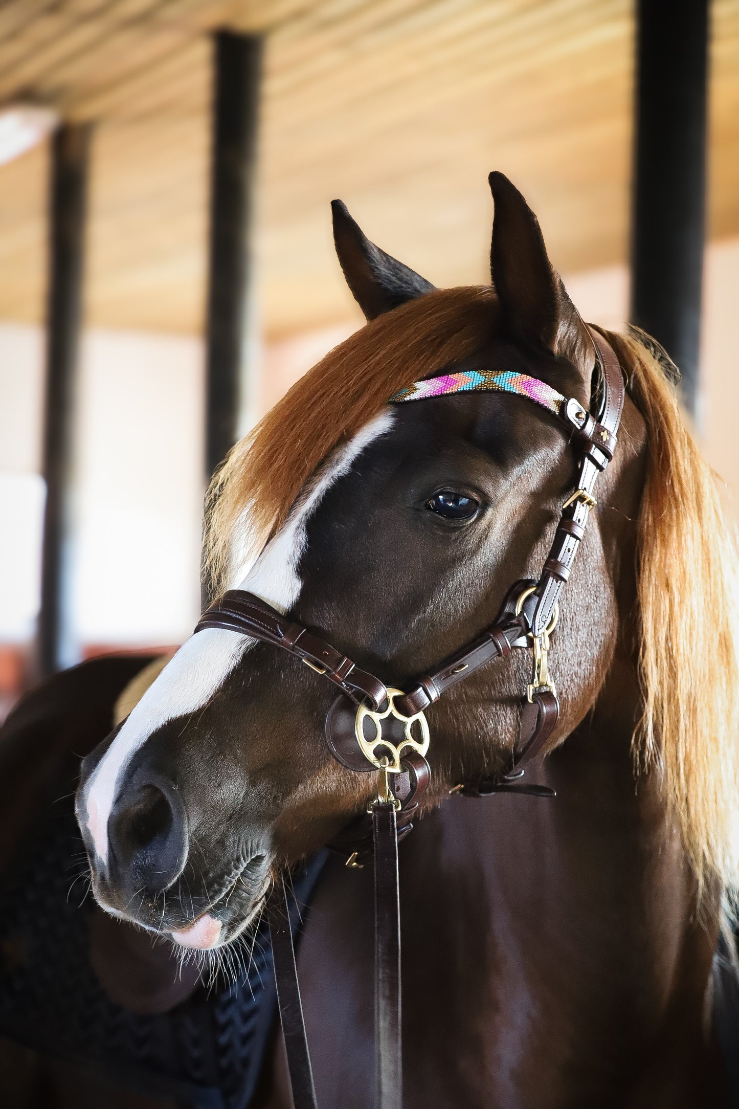Eve browband