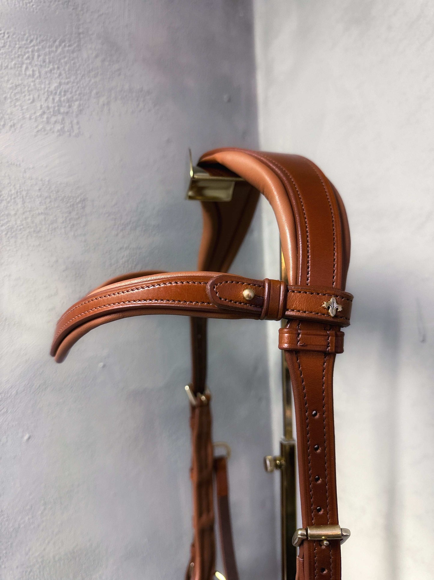 Oliander Multi Bridle - MASEGO bit to bitless system 🖤👻🎃