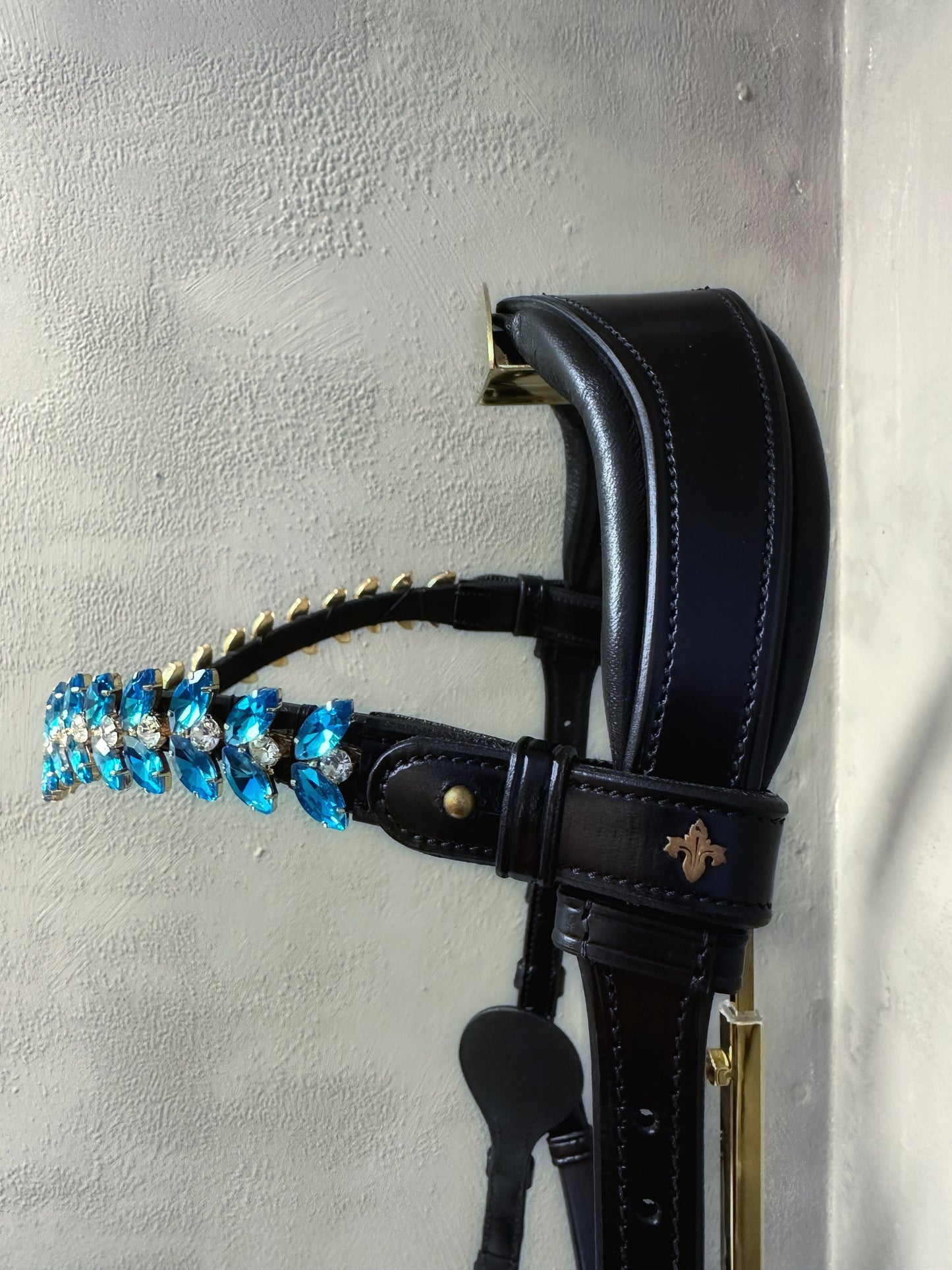 Bella Starwheel hackamore all black
