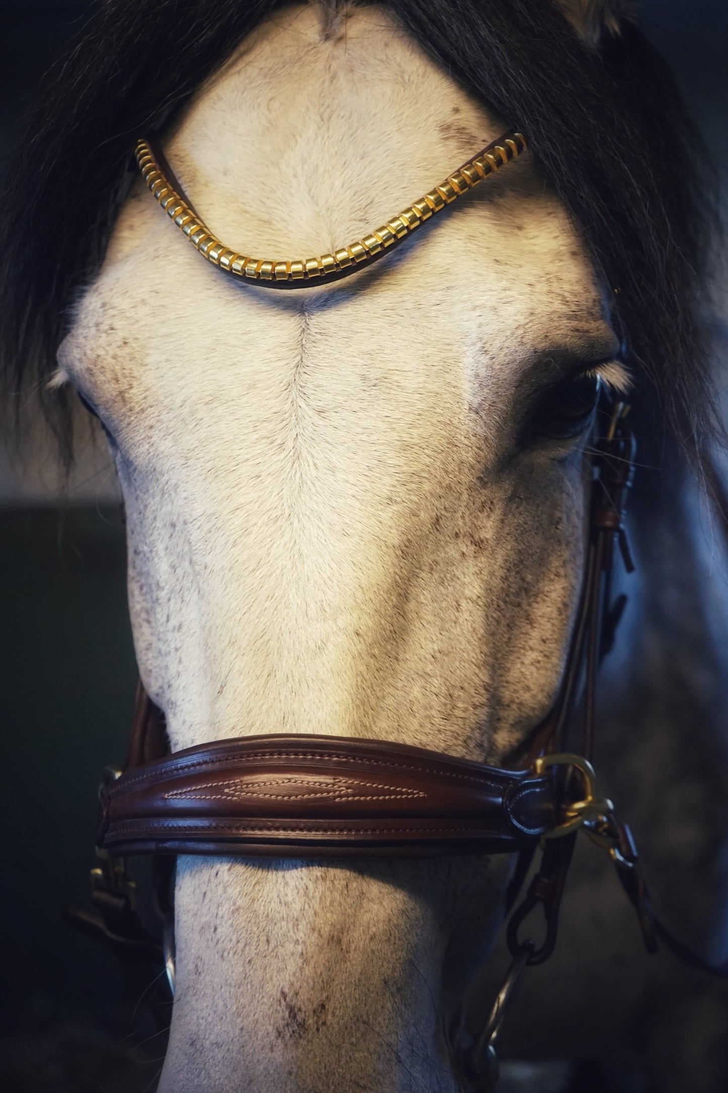 Oliander Bridle