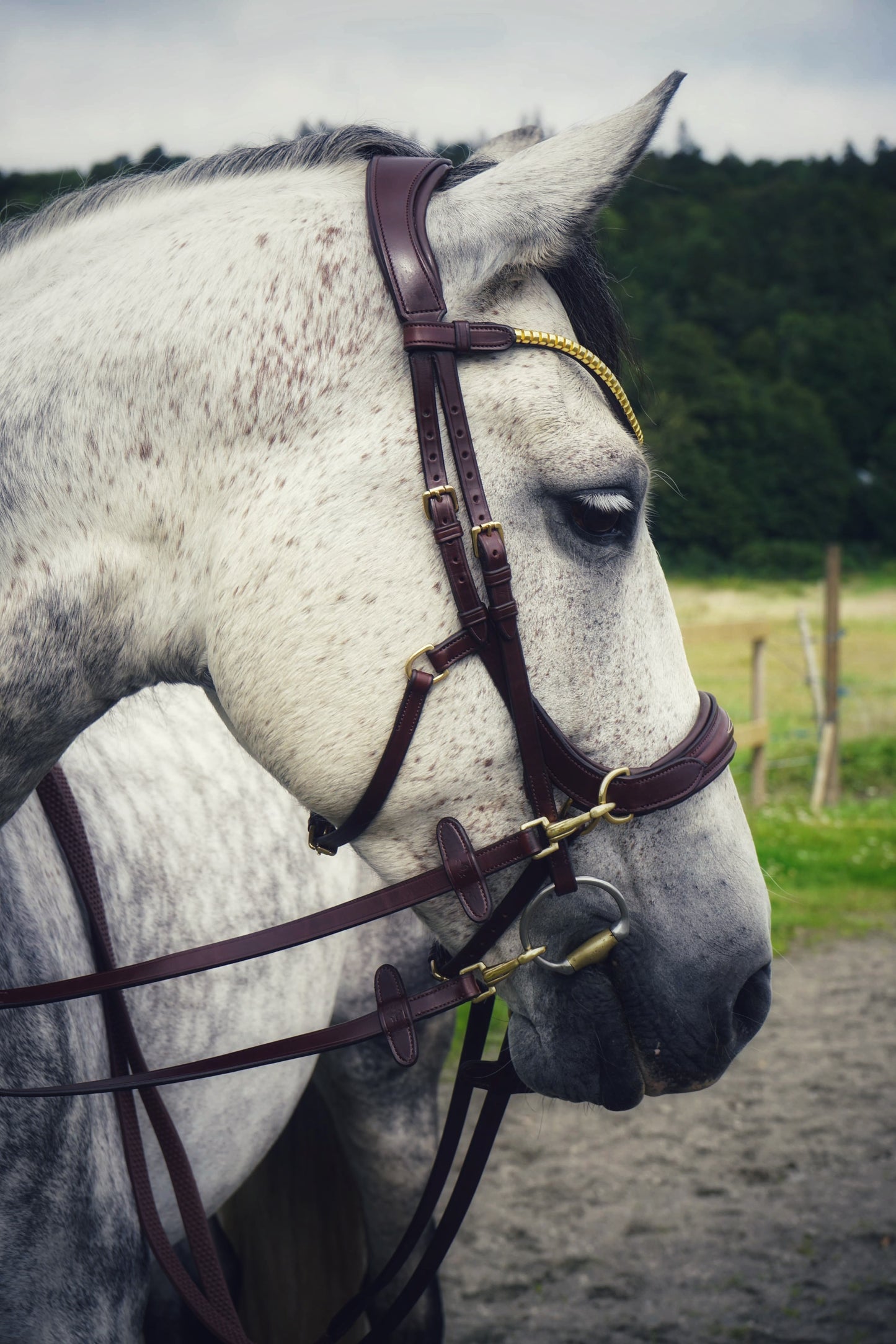Oliander Bridle