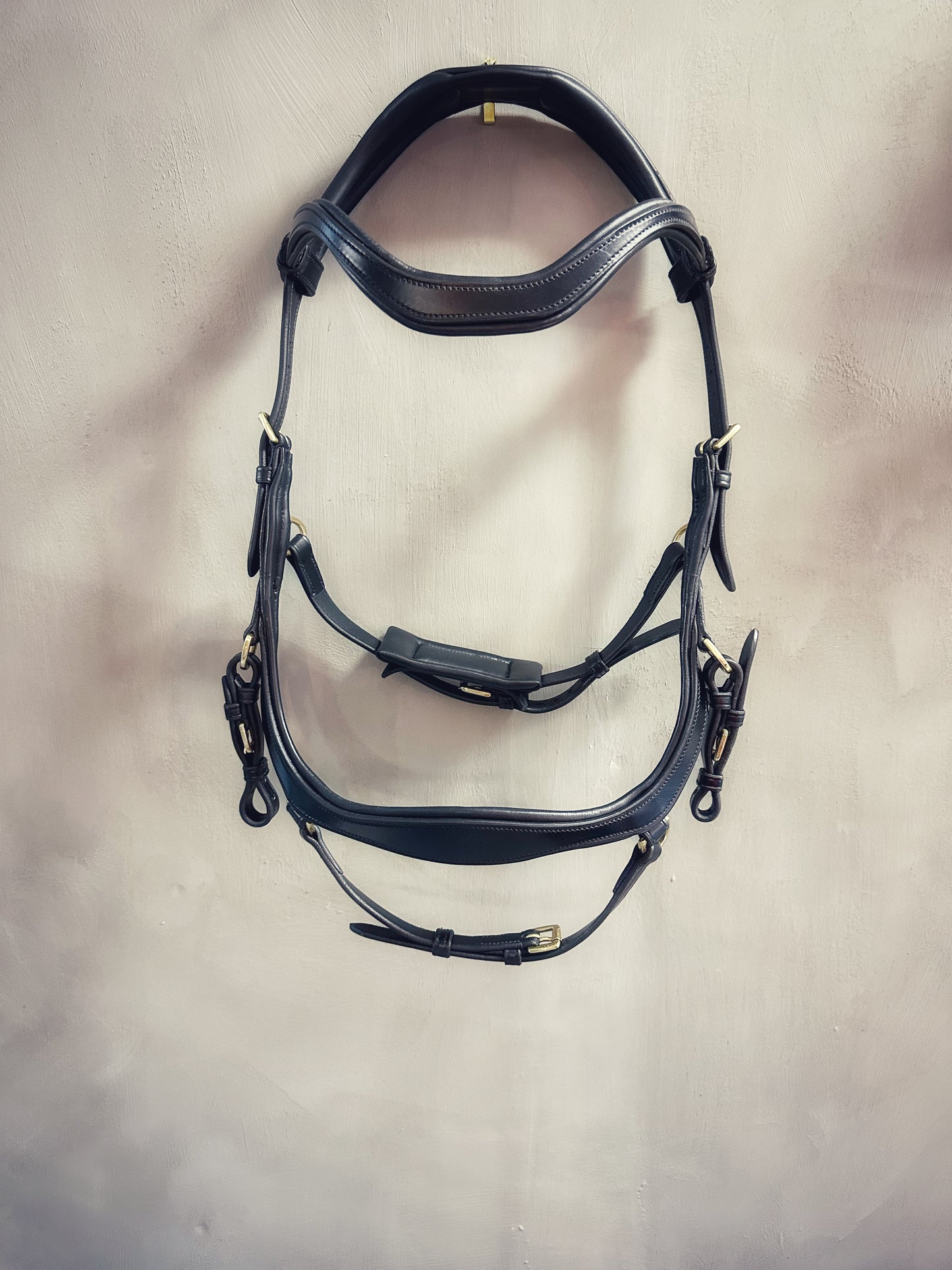 Soñadora Multi Bridle