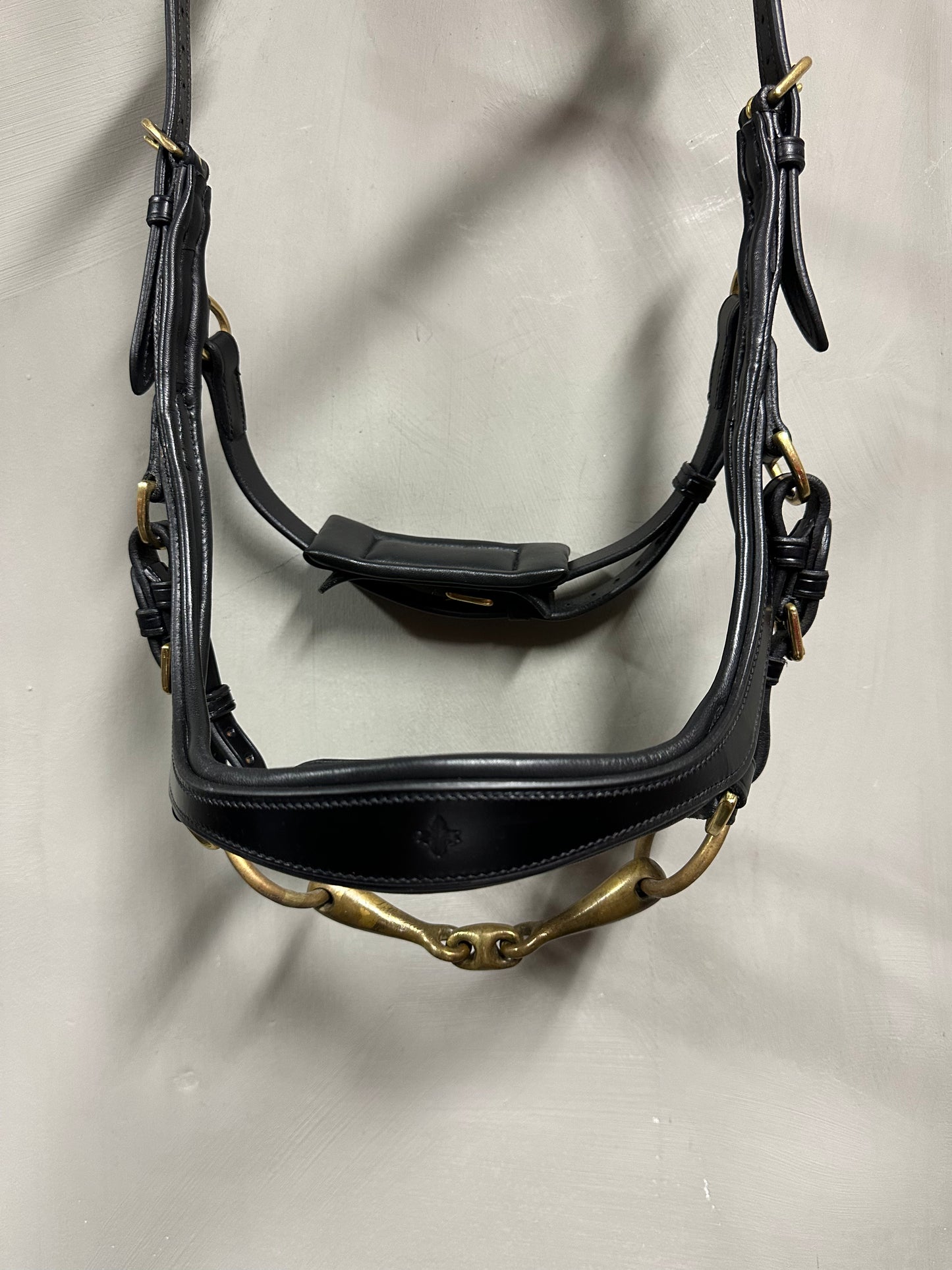Soñadora Multi Bridle