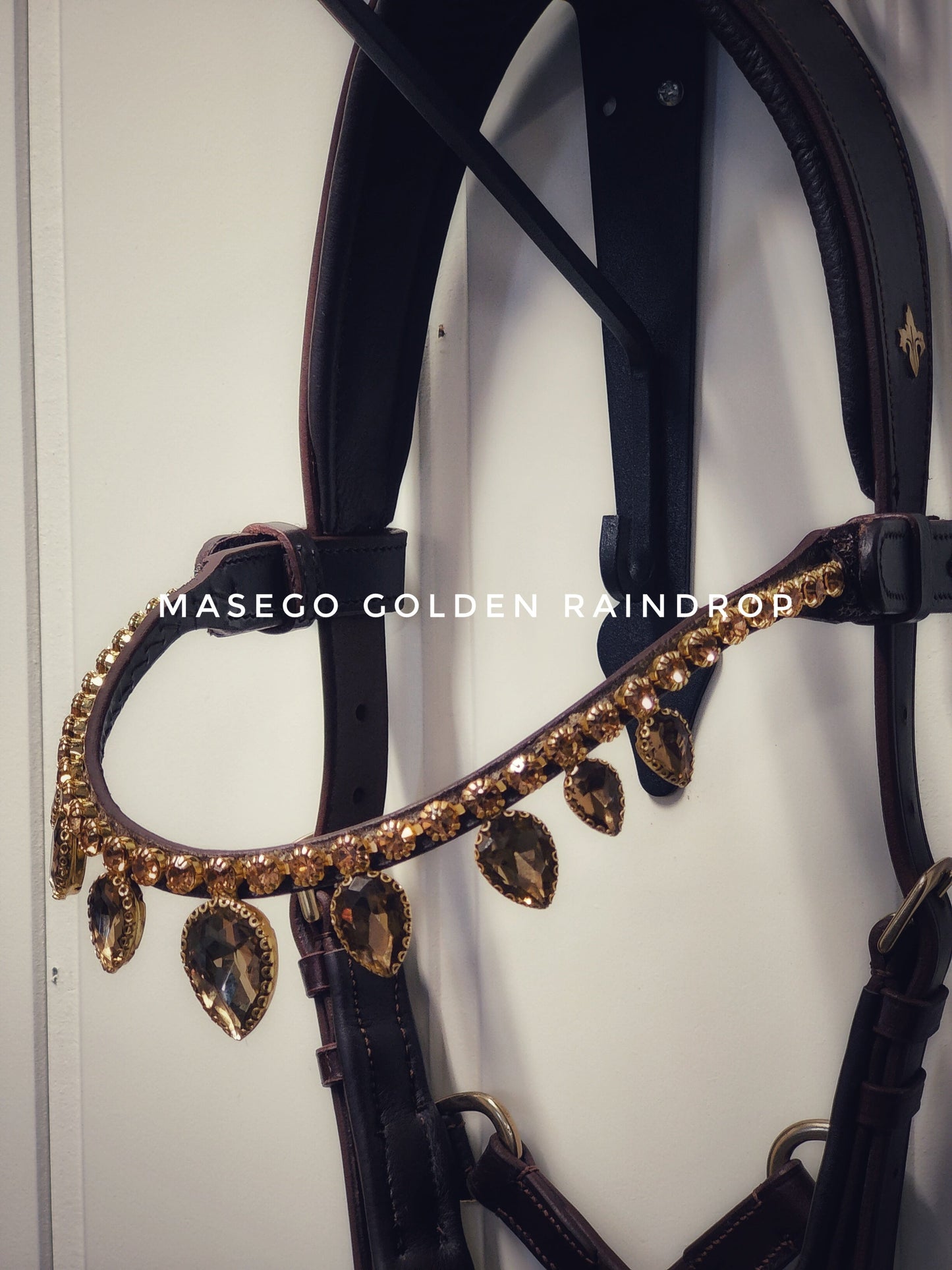 Bit and bitless bridles, halters, riding tights, swarovski browbands and much more