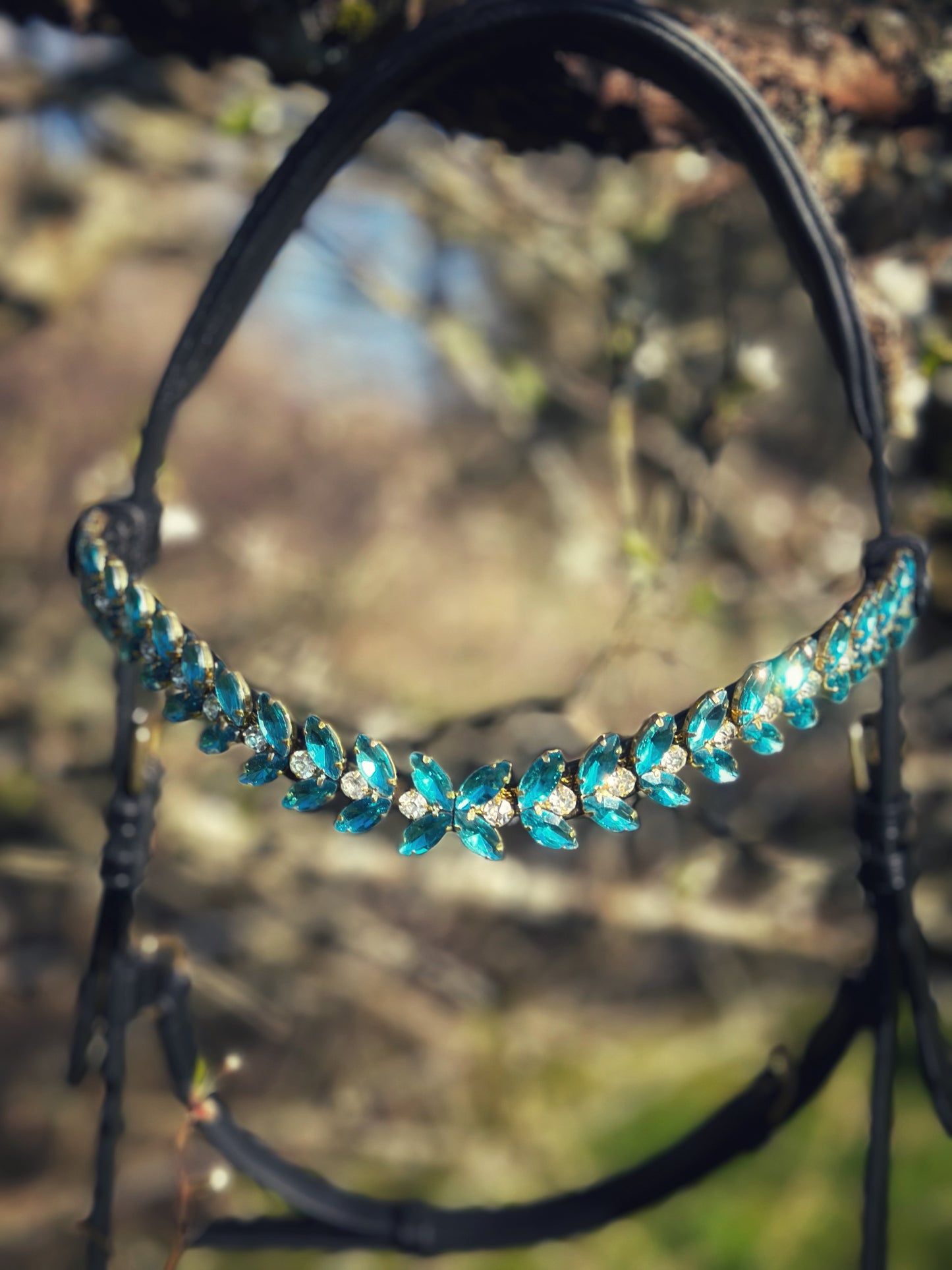 Iris browband