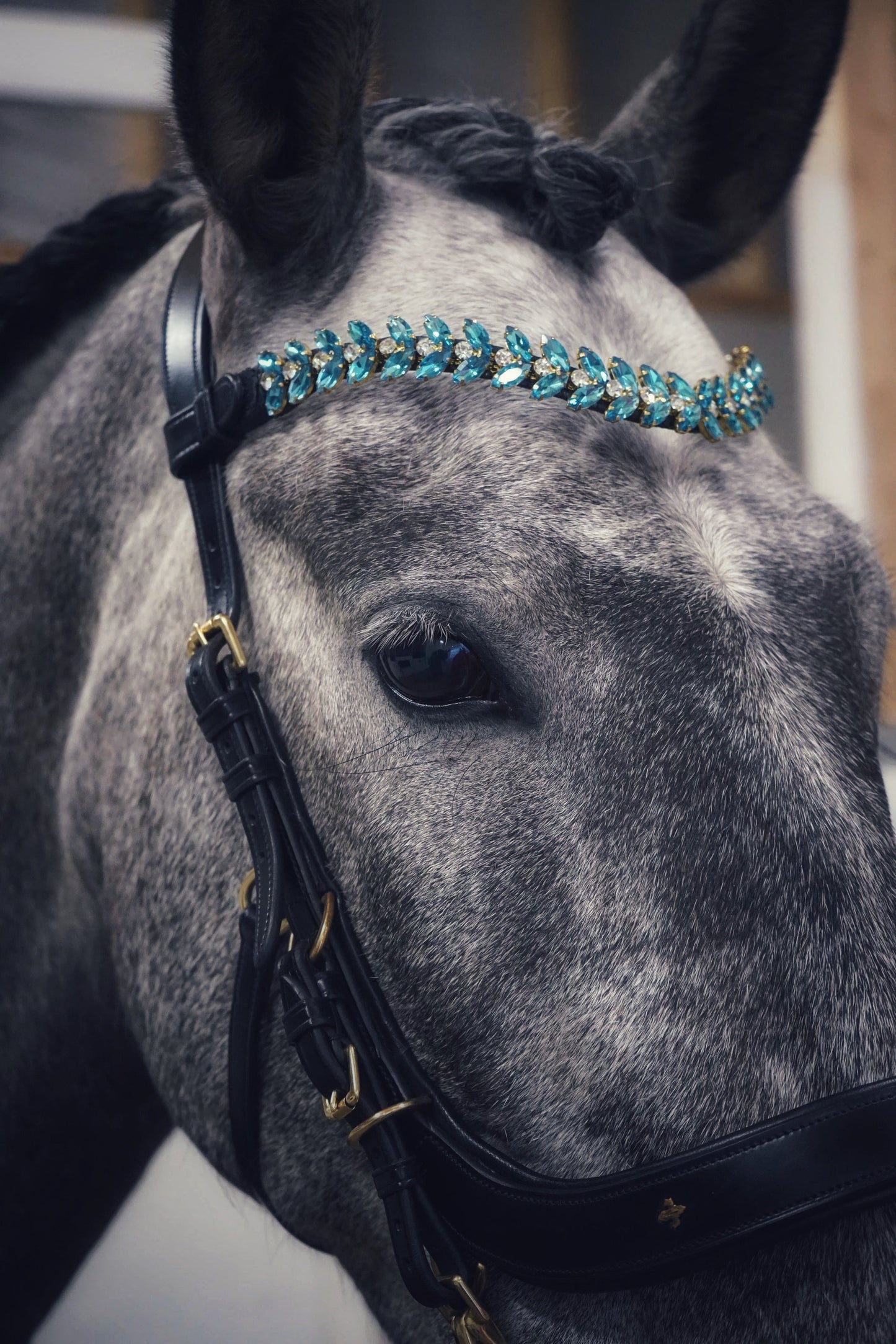 Iris browband