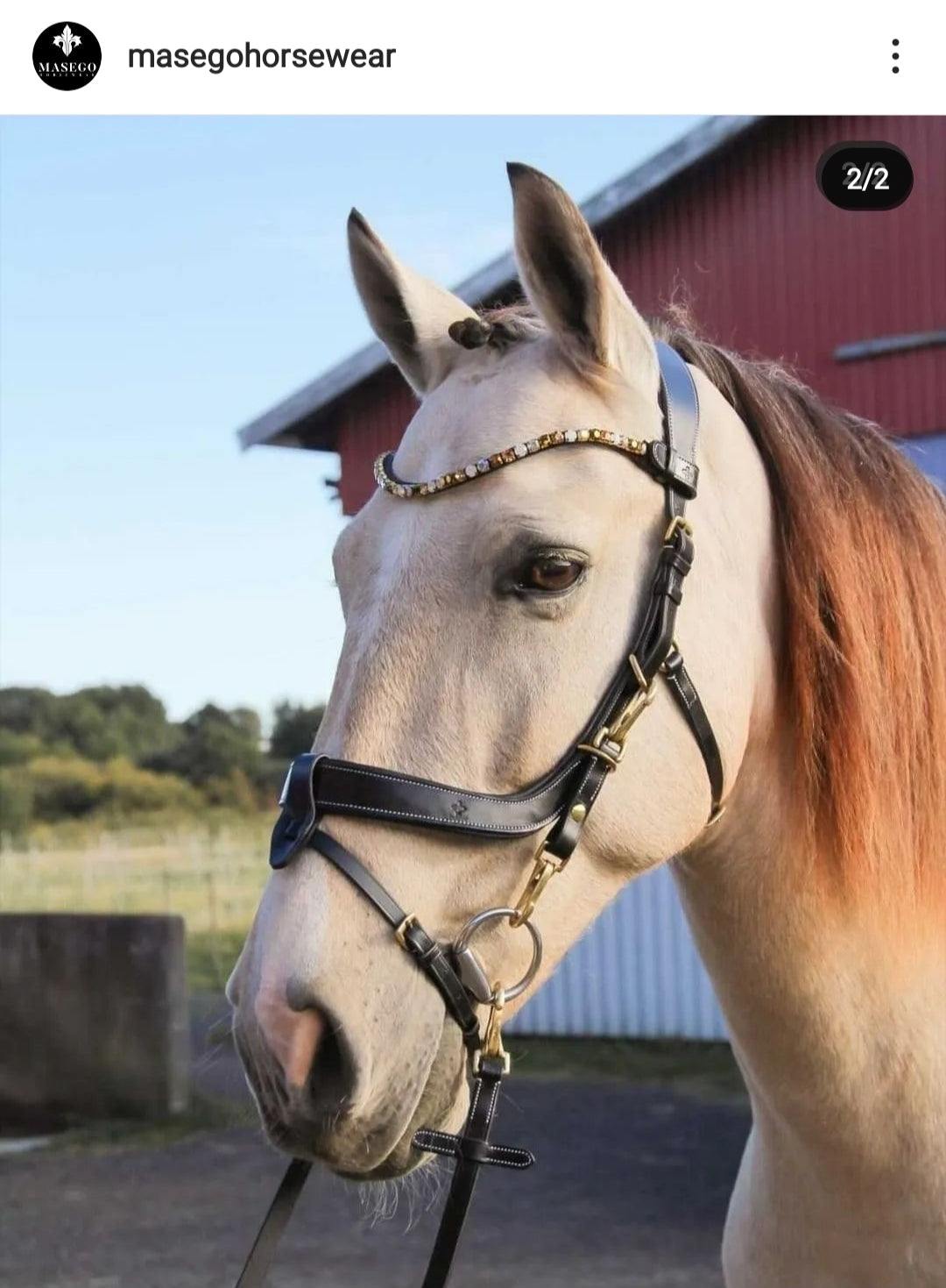 Horse wearing OUTGOING Golden Bridle with Swarovski Sparkling sand browband and matching rubber reins with brasshooks