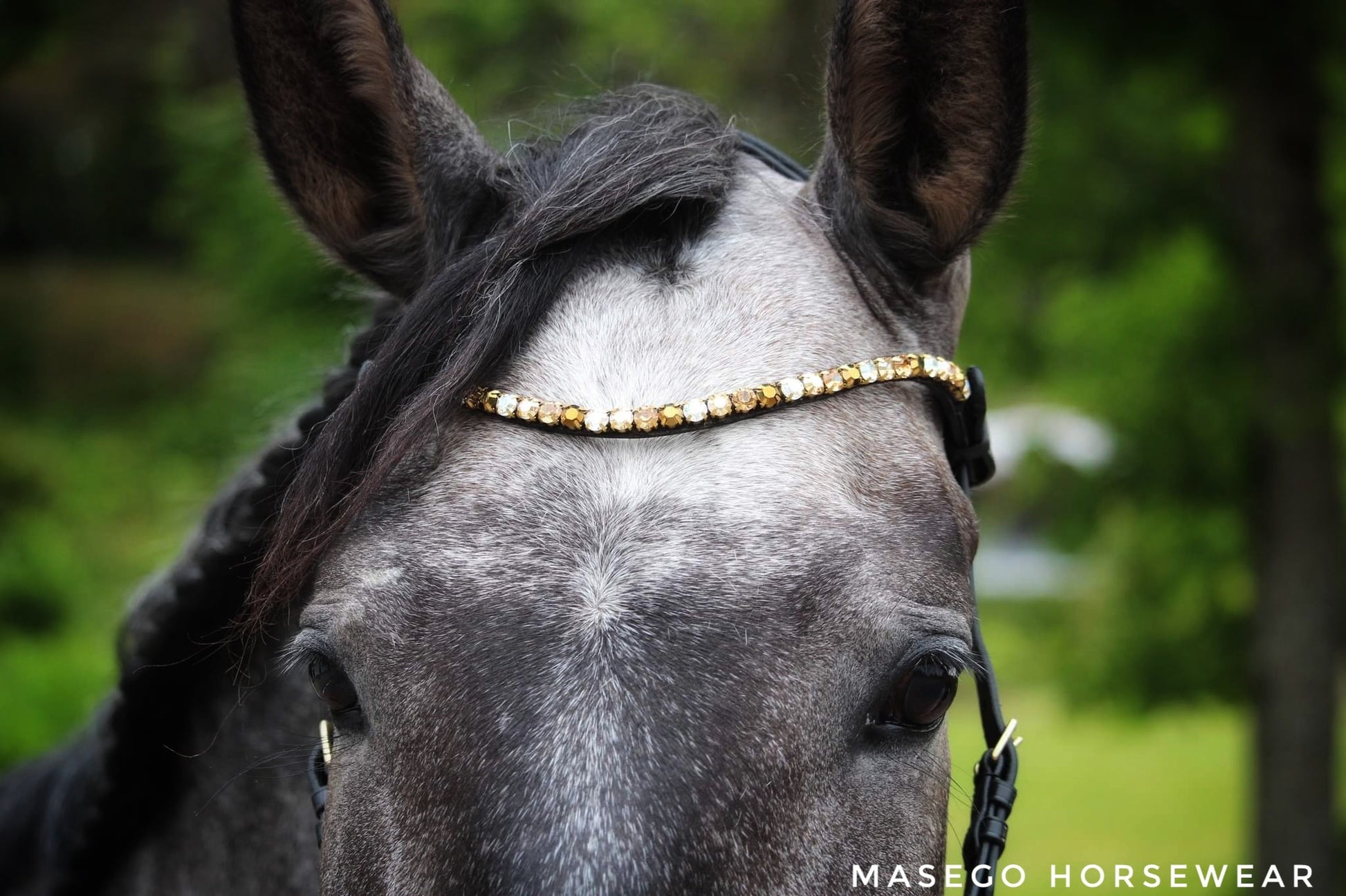 Masego Sparkling amber - MASEGO horsewear
