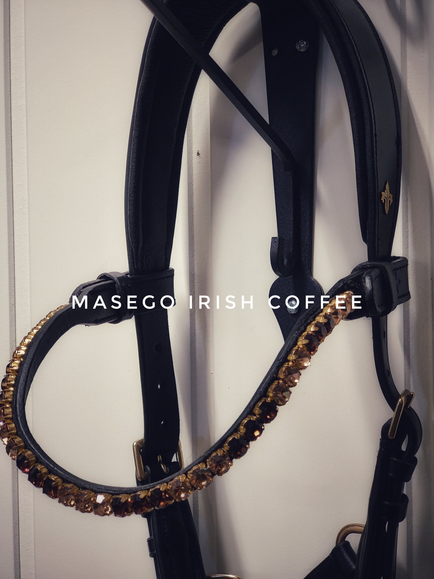 MASEGO horsewear Irish coffee browband - MASEGO horsewear