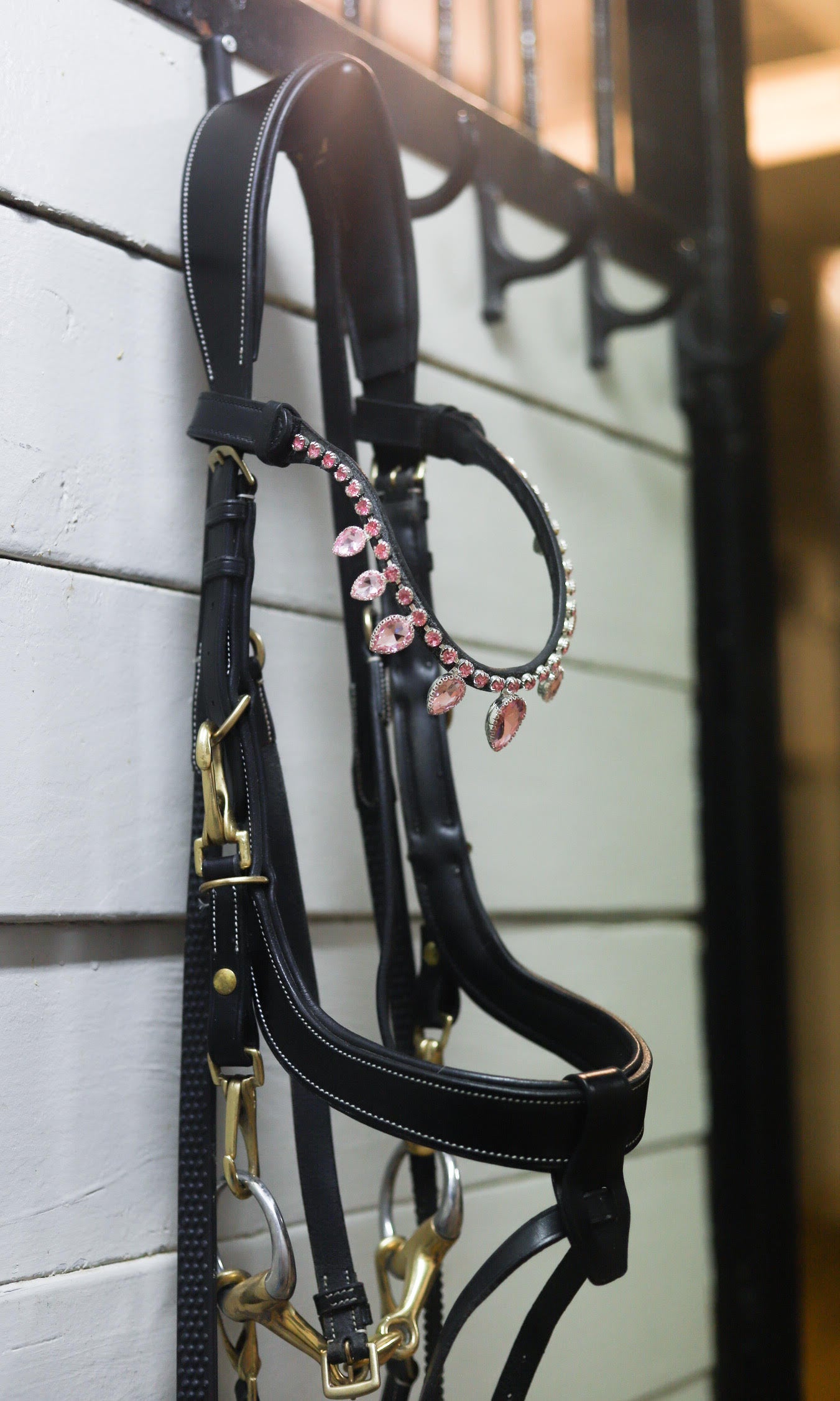 Masego horsewear gift card - MASEGO horsewear