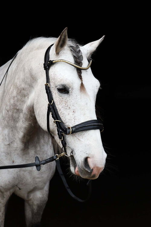 Oliander Multi bridle - bit to bitless system no.2