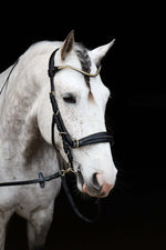 Load image into Gallery viewer, Oliander Multi bridle - bit to bitless system no.2
