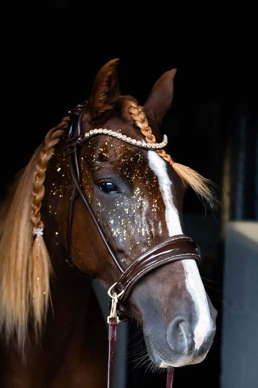 Dova sparkling sidepull bridle in Italian leather with crystal browband on decorated horse