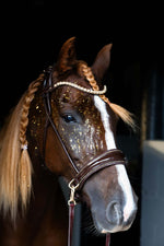 Load image into Gallery viewer, Dova sparkling sidepull bridle in Italian leather with crystal browband on decorated horse
