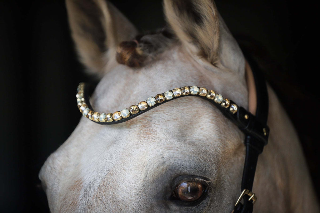 Spiritandhiscrew X MASEGO bit to bitless Multi bridle