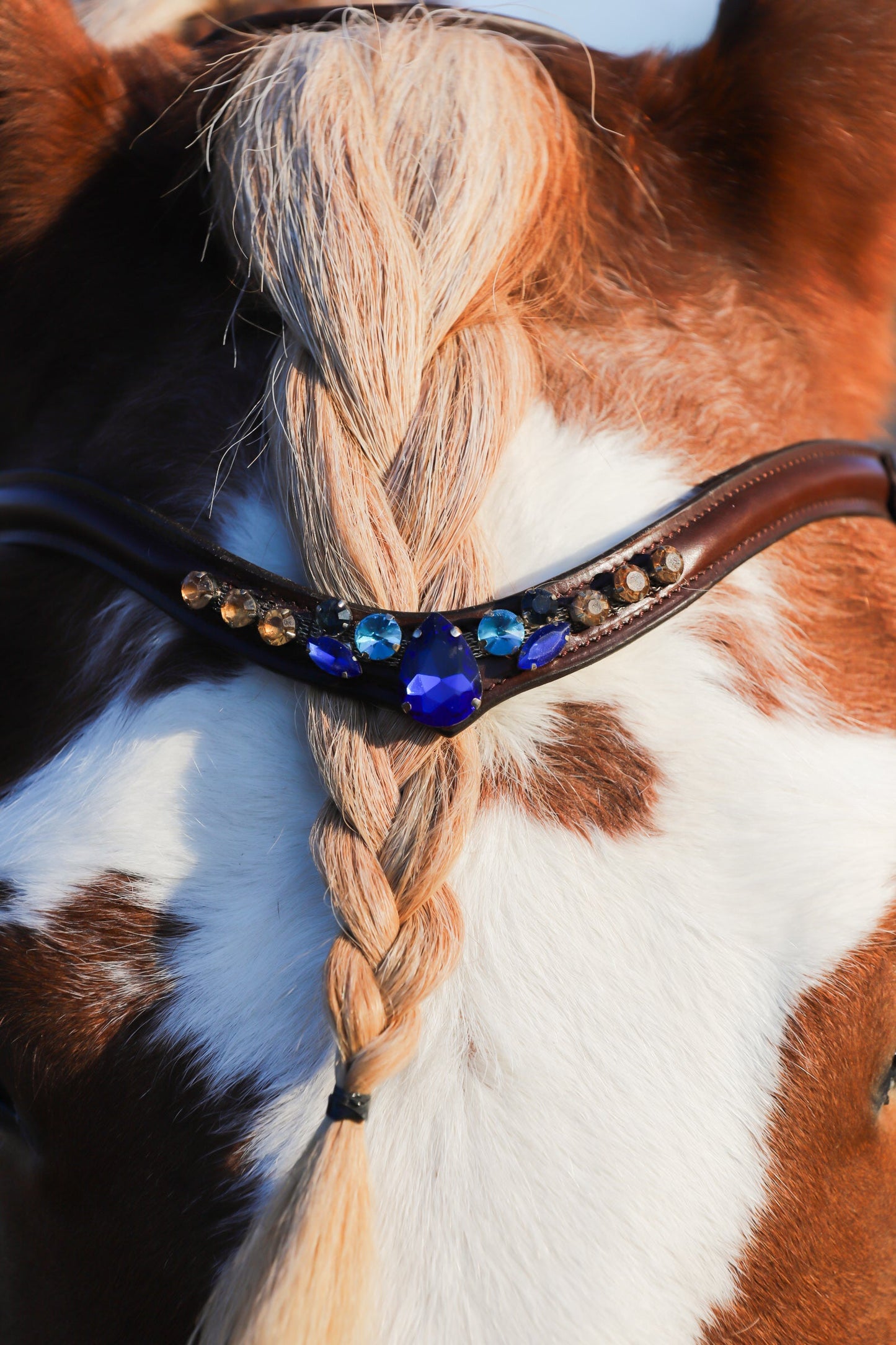 Golden indigo browband with gold and deep-blue stones on premium Italian leather on horse mane