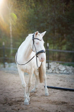 Load image into Gallery viewer, ❤️ Dova sparkling sidepull
