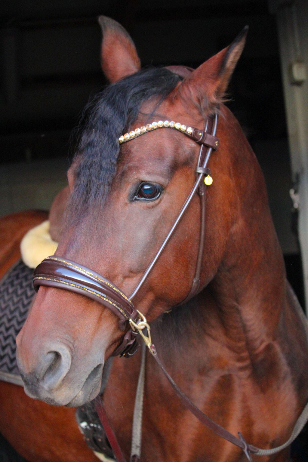 Dova sparkling sidepull