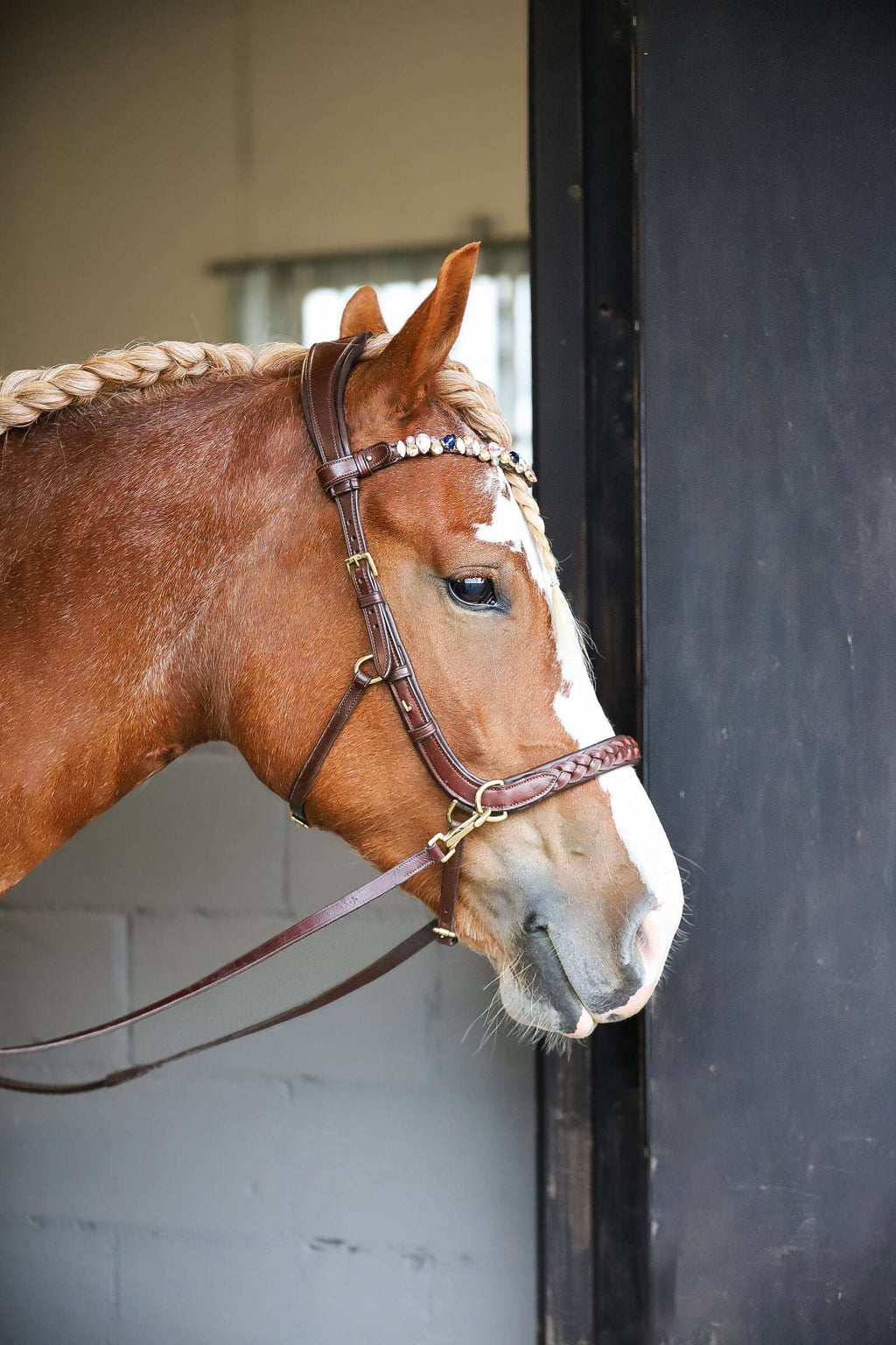 Odessa bonita Multi Bridle padded, bit to bitless system no.1