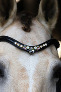 Close-up of a horse wearing a black leather browband with sparkling crystals named Misty Heron