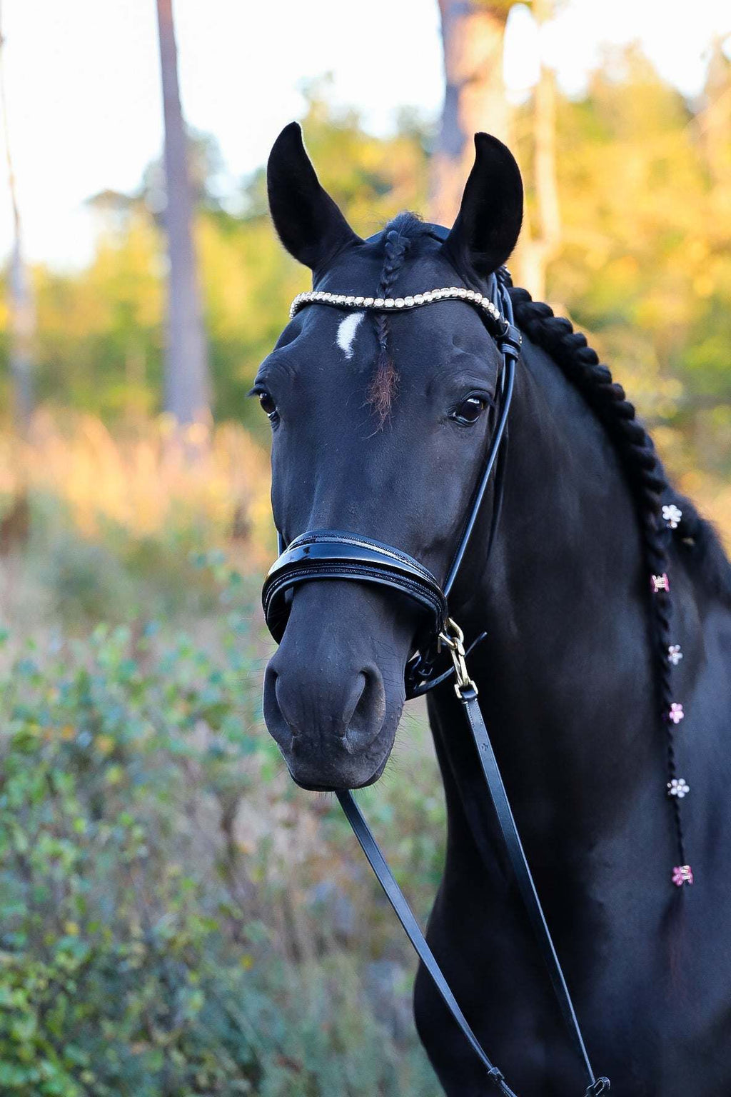 Dova sparkling sidepull