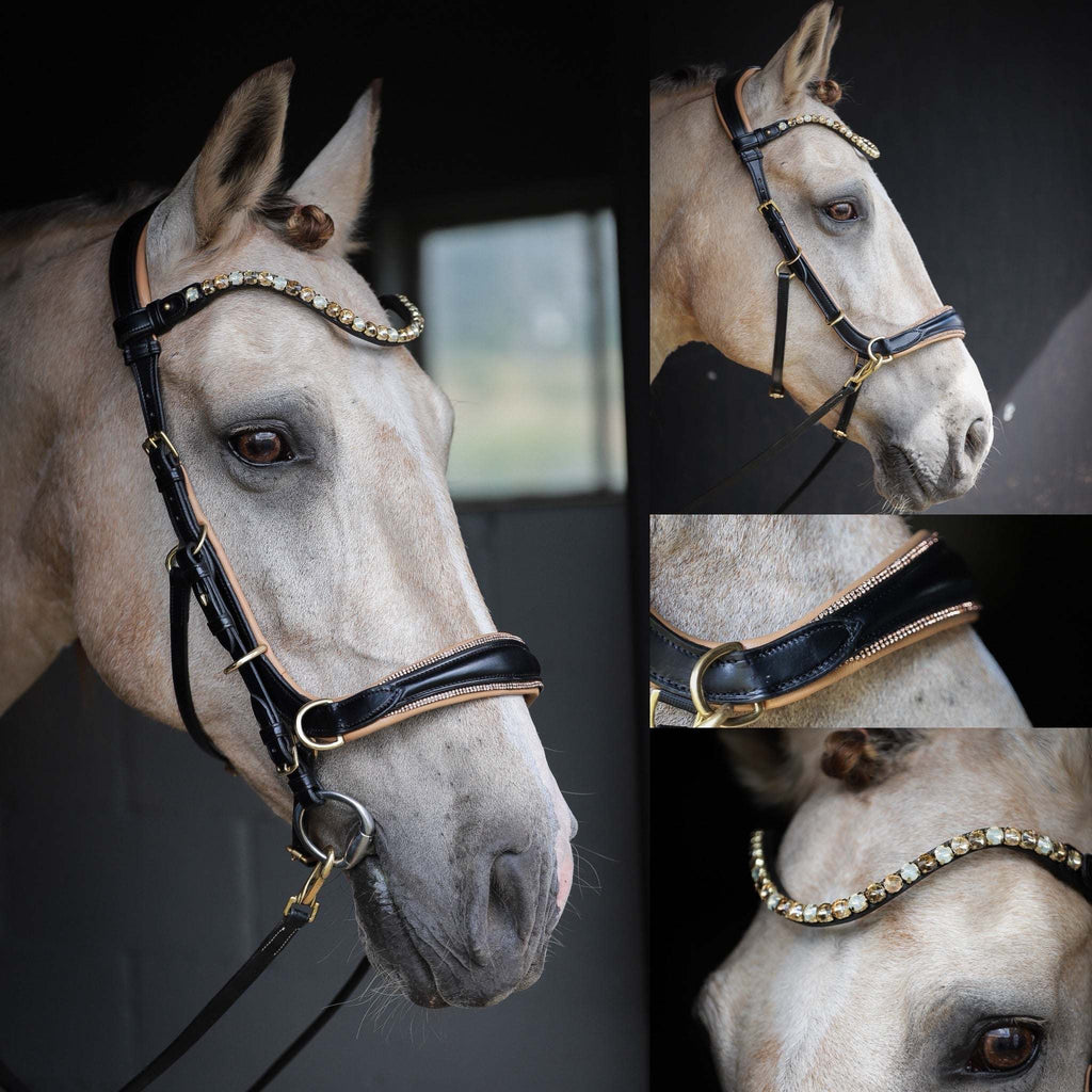 Spiritandhiscrew X MASEGO elegant multi-function bit to bitless black leather horse bridle with crystal browband and brass fittings