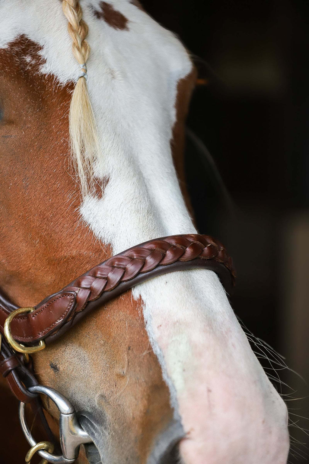 Odessa bonita Multi Bridle padded, bit to bitless system no.1