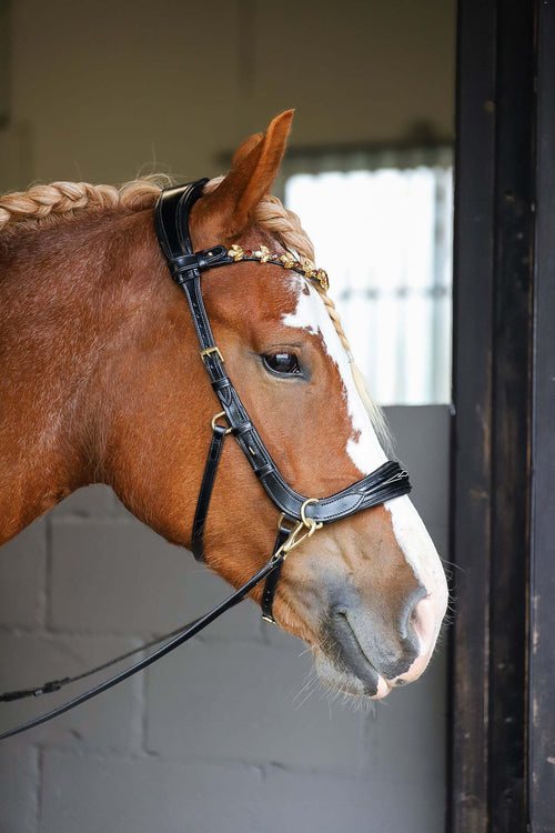 Oliander Multi Bridle, bit to bitless system no.1