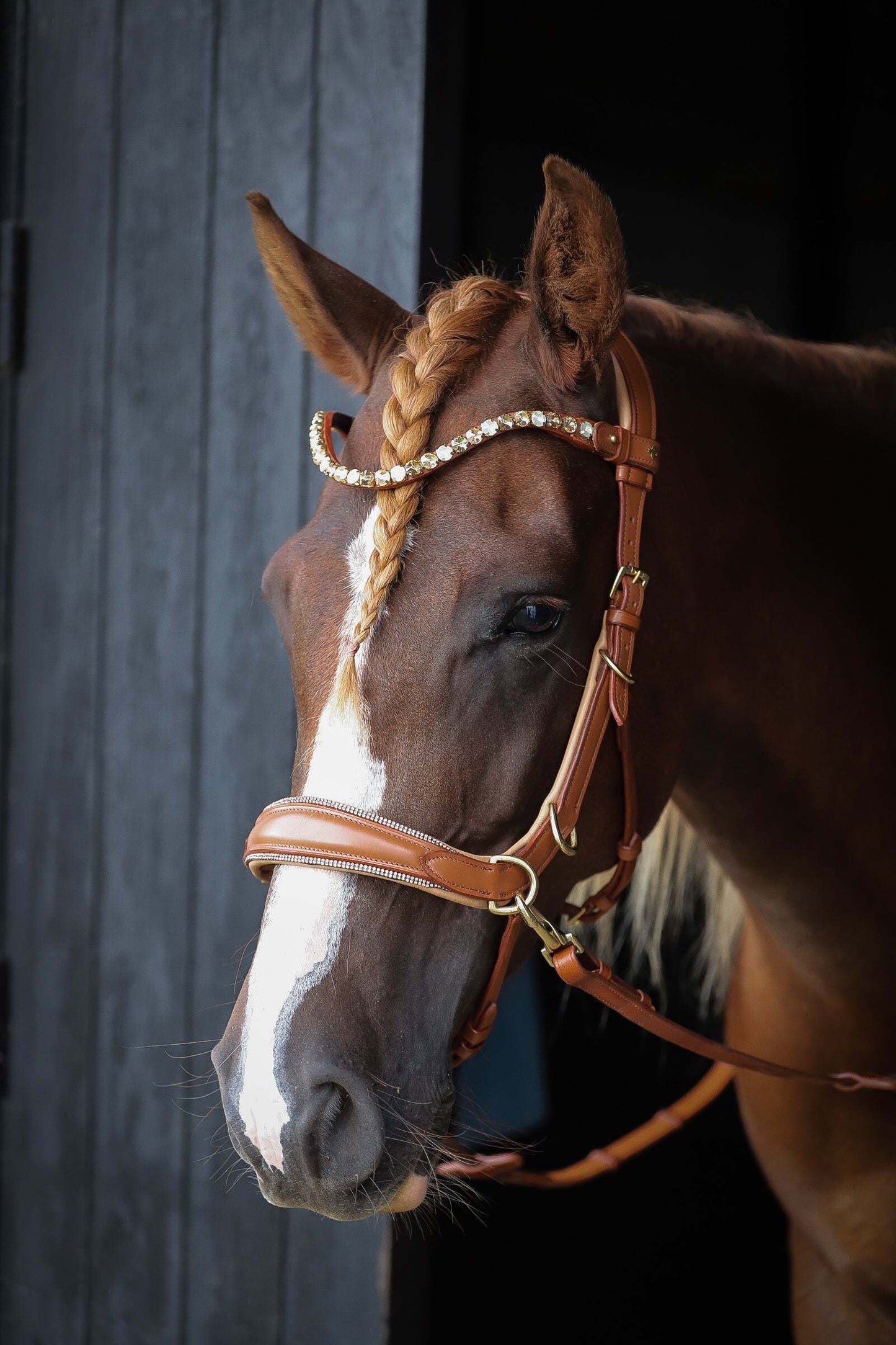 Spiritandhiscrew X MASEGO bit to bitless Multi bridle