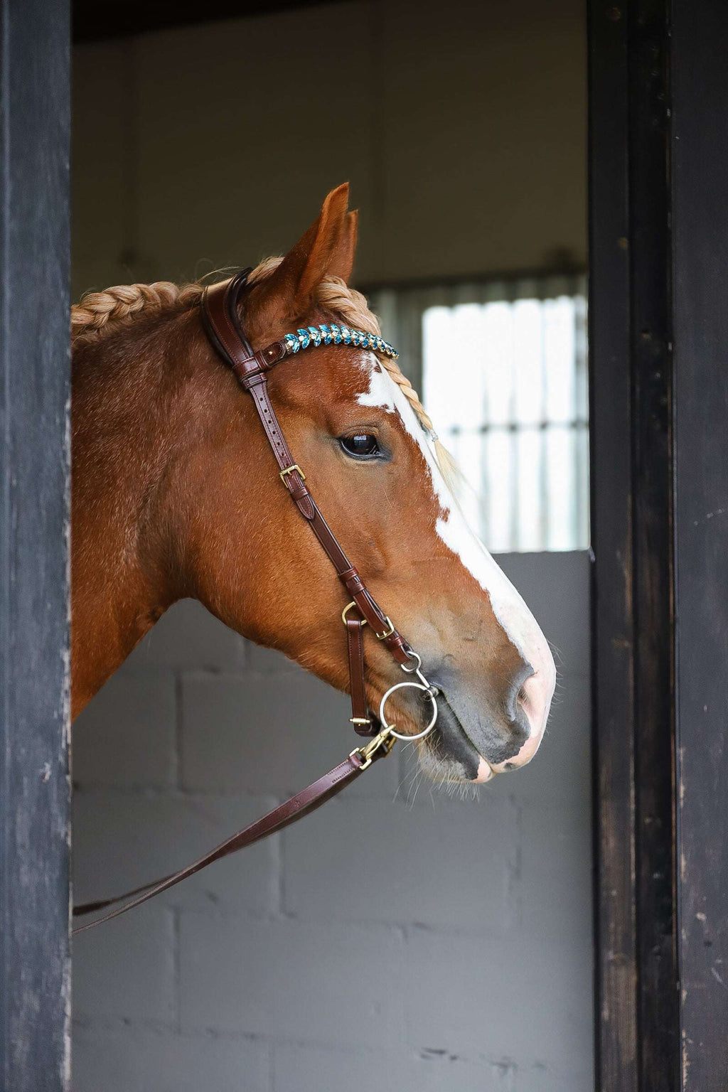 Coco bridle