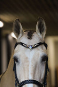 Close-up of a horse wearing a black leather bridle with a decorative jeweled browband called Rose Dove