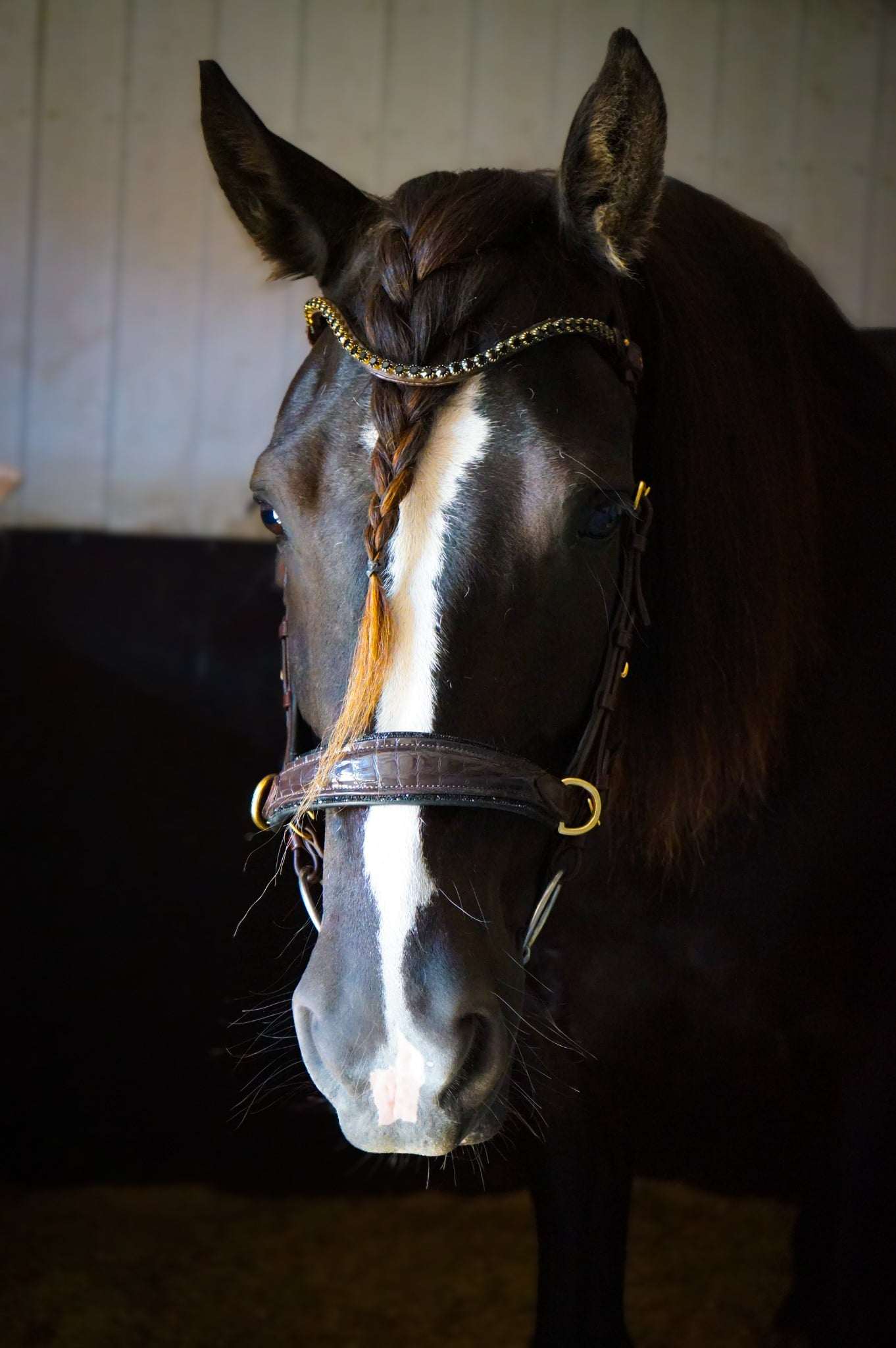 Nia Browband