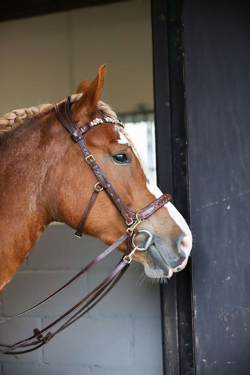 Odessa bonita Multi Bridle padded, bit to bitless system no.1