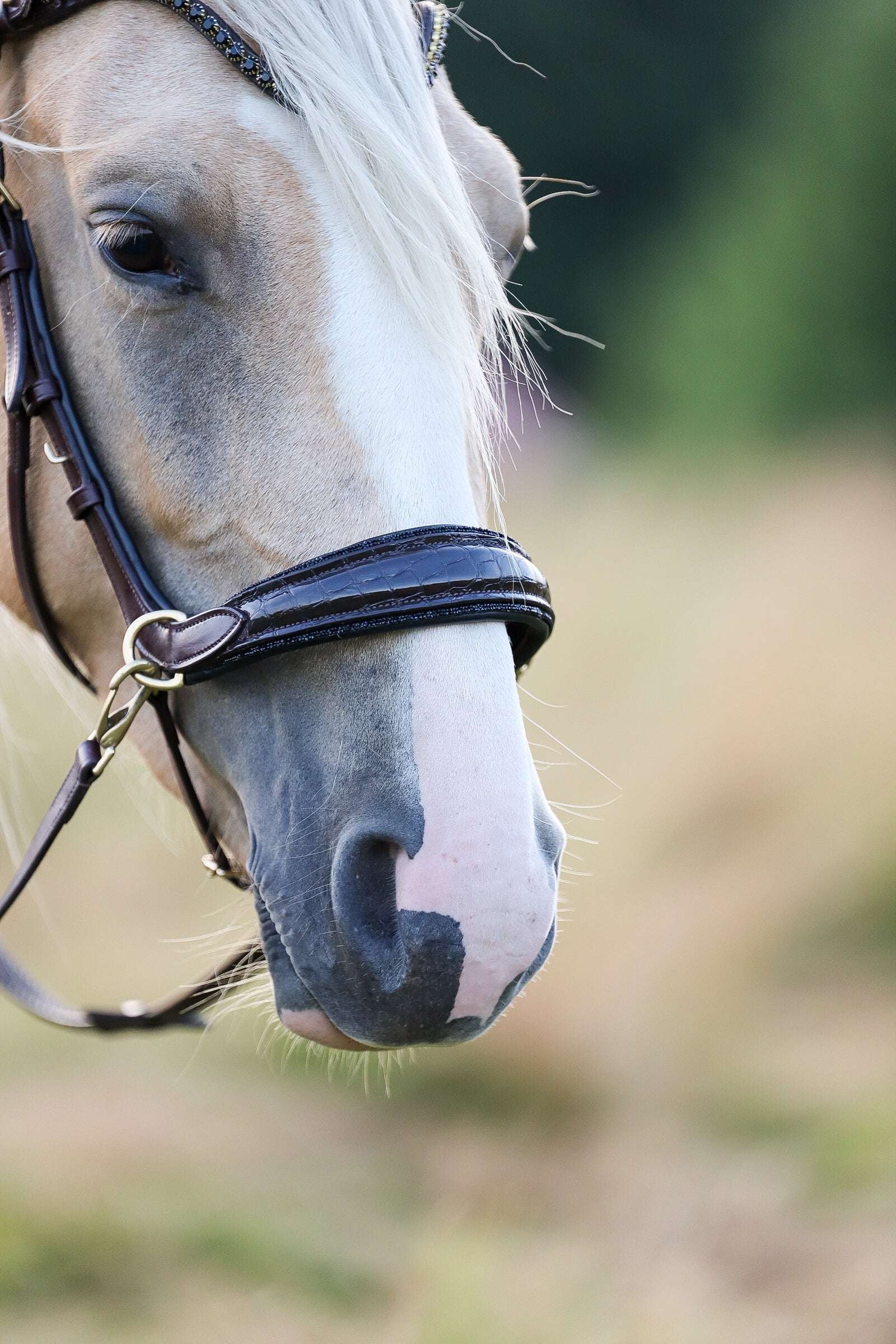 NEW 🖤🤎 Nia Multi Bridle - Bit to bitless system no.1