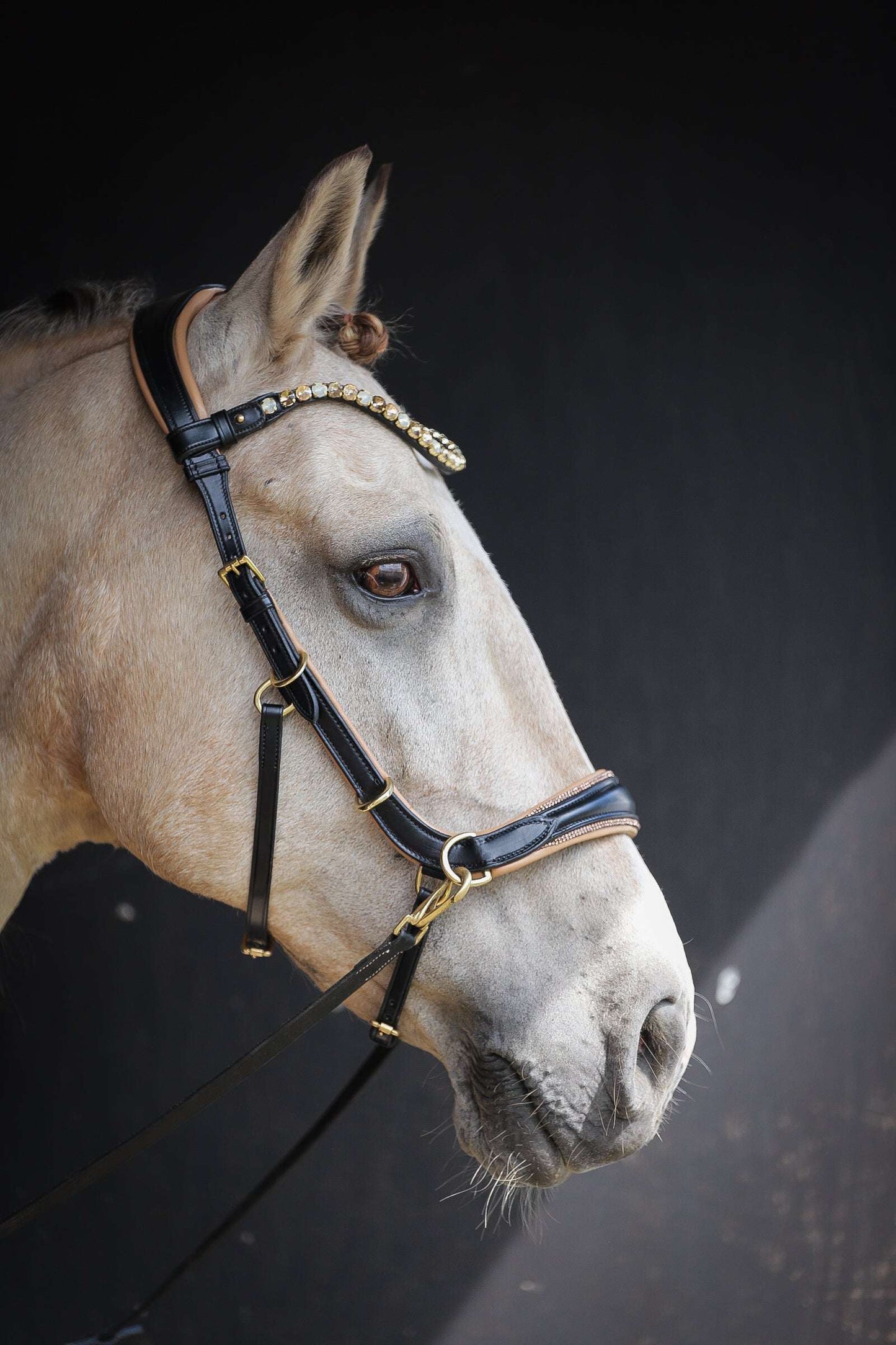 Spiritandhiscrew X MASEGO bit to bitless Multi bridle