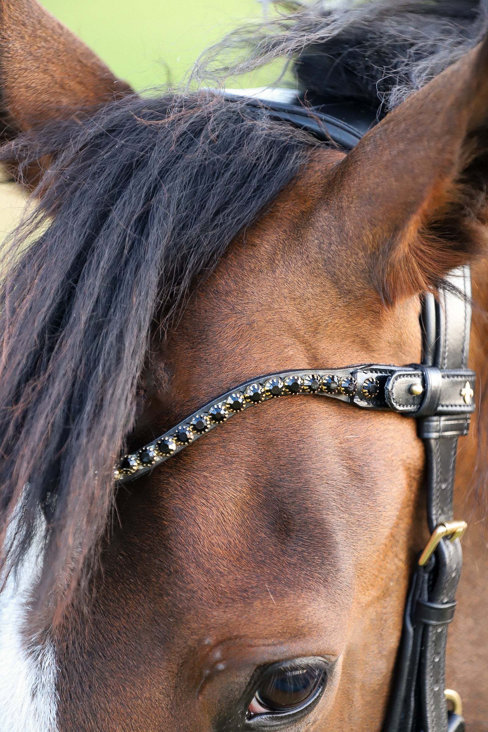Elegant Nia Browband with 8mm black crystals and brass hardware on black and brown leather