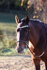 Load image into Gallery viewer, OUTGOING- Grace Multi Bridle - MASEGO bit to bitless system
