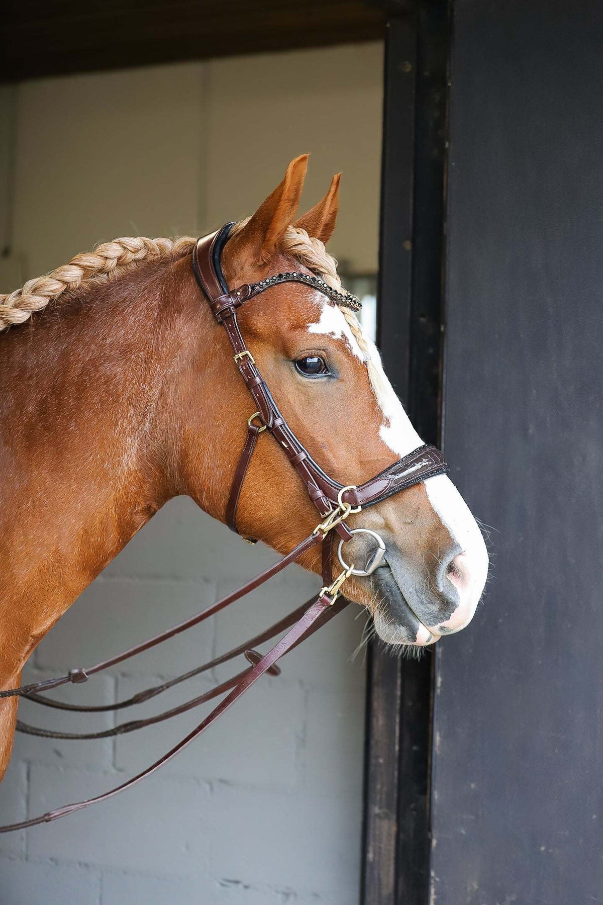 Nia Multi Bridle - Bit to bitless system no.1