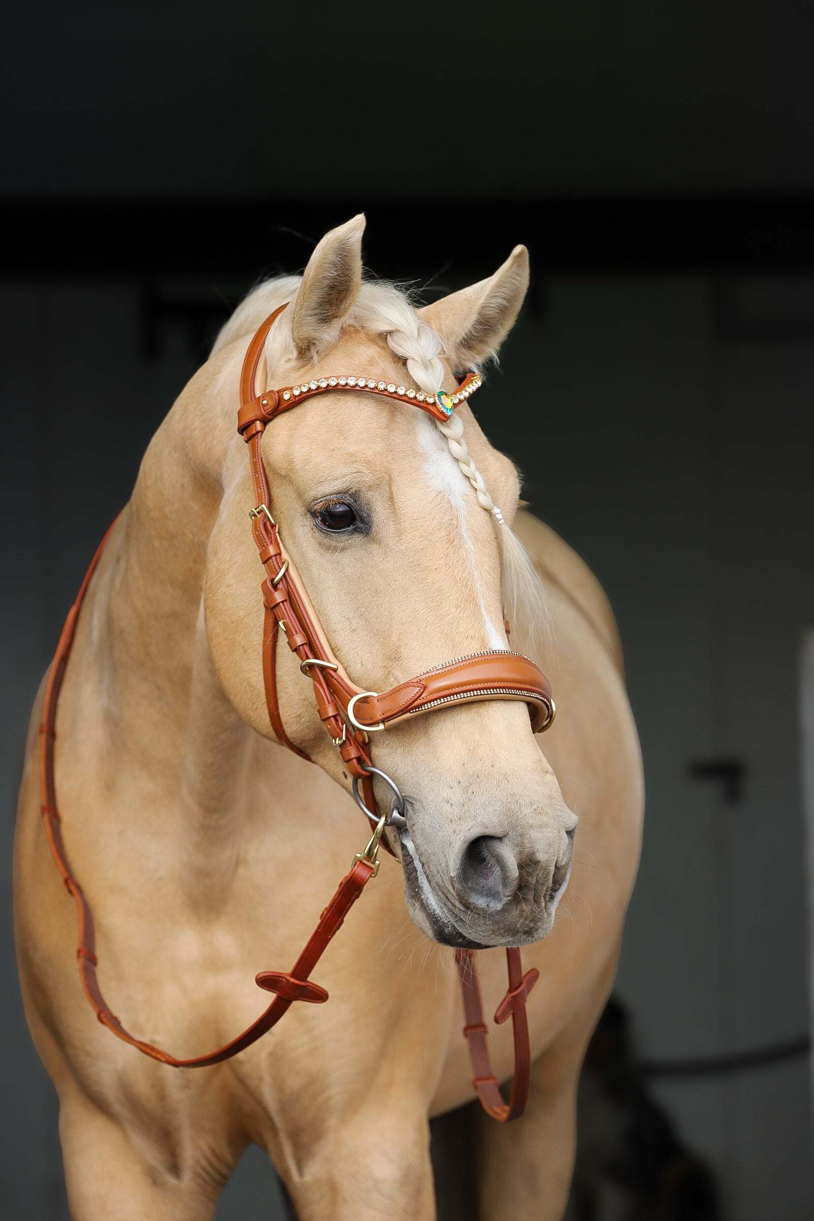 Spiritandhiscrew X MASEGO elegant 3-in-1 multi-function bitless bridle in soft beige Italian leather with glitter and brass fittings