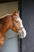 Odessa bonita Multi Bridle padded, bit to bitless system no.1