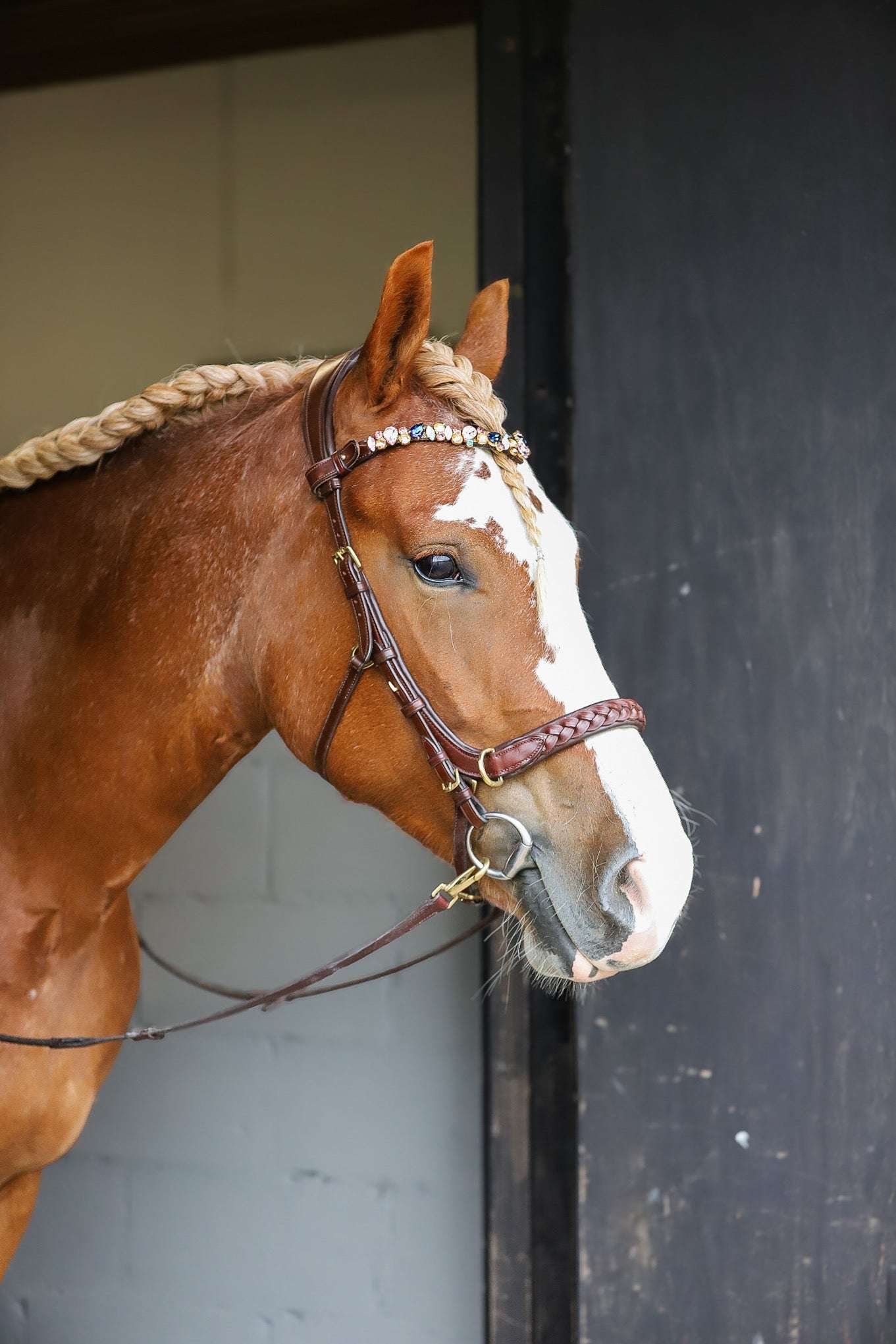 Odessa bonita Multi Bridle padded, bit to bitless system no.1