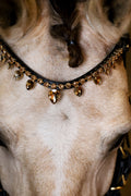 Close-up of horse wearing golden raindrop browband with large crystals on black leather strap