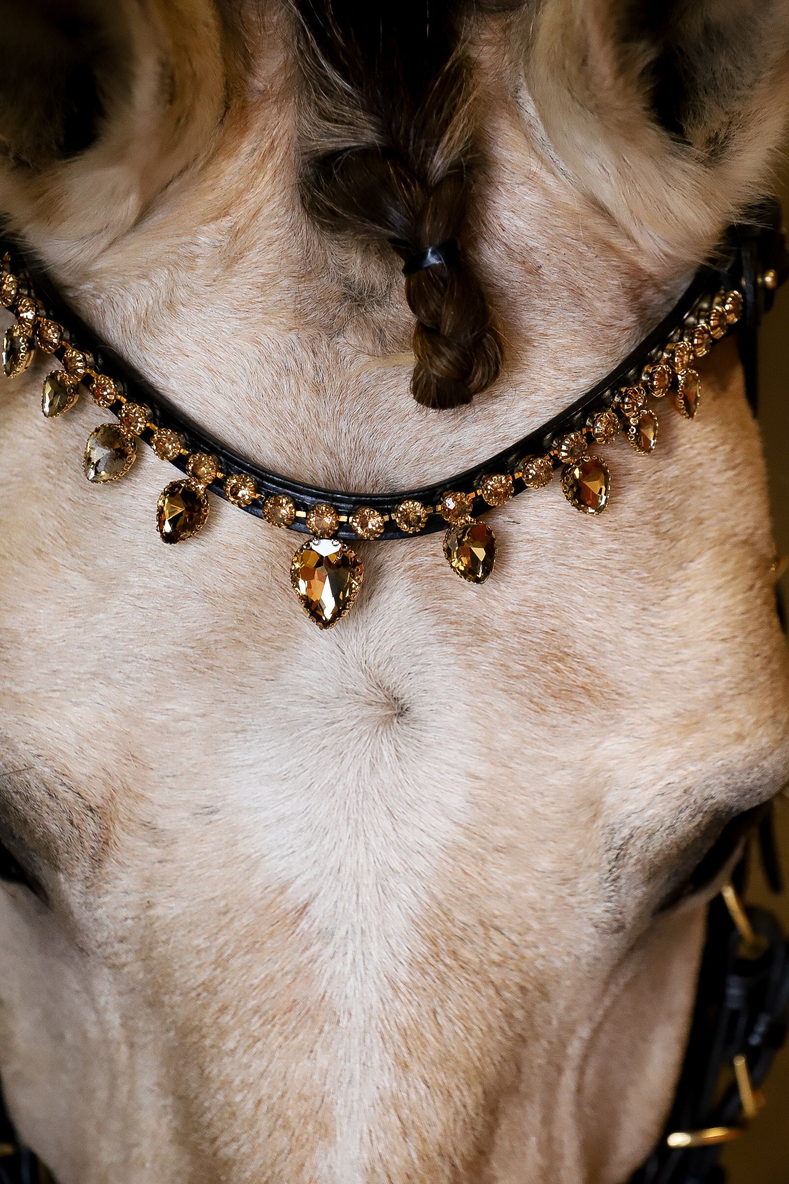 Close-up of horse wearing golden raindrop browband with large crystals on black leather strap