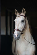 White horse wearing Zoe hackamore bridle with padded noseband and brass hardware in stable lighting