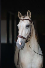 Load image into Gallery viewer, White horse wearing Zoe hackamore bridle with padded noseband and brass hardware in stable lighting
