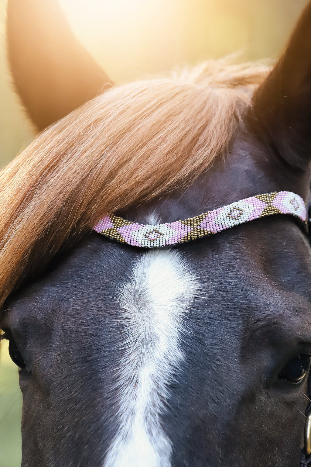 May browband in Italian leather with tiny pearls on horse's forehead