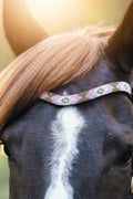 May browband in Italian leather with tiny pearls on horse's forehead