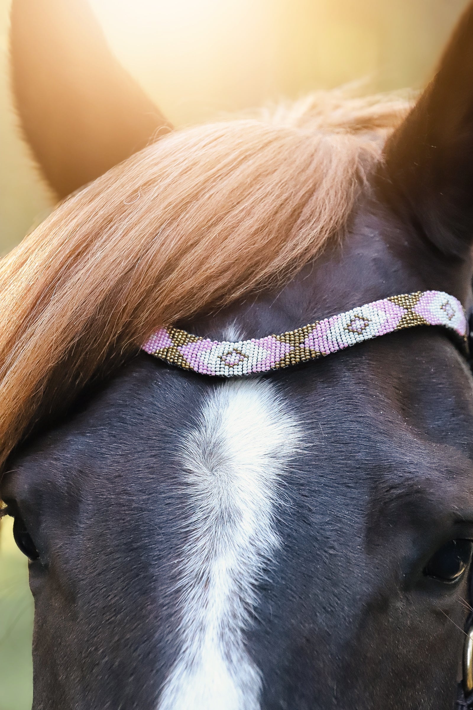 May browband in Italian leather with tiny pearls on horse's forehead