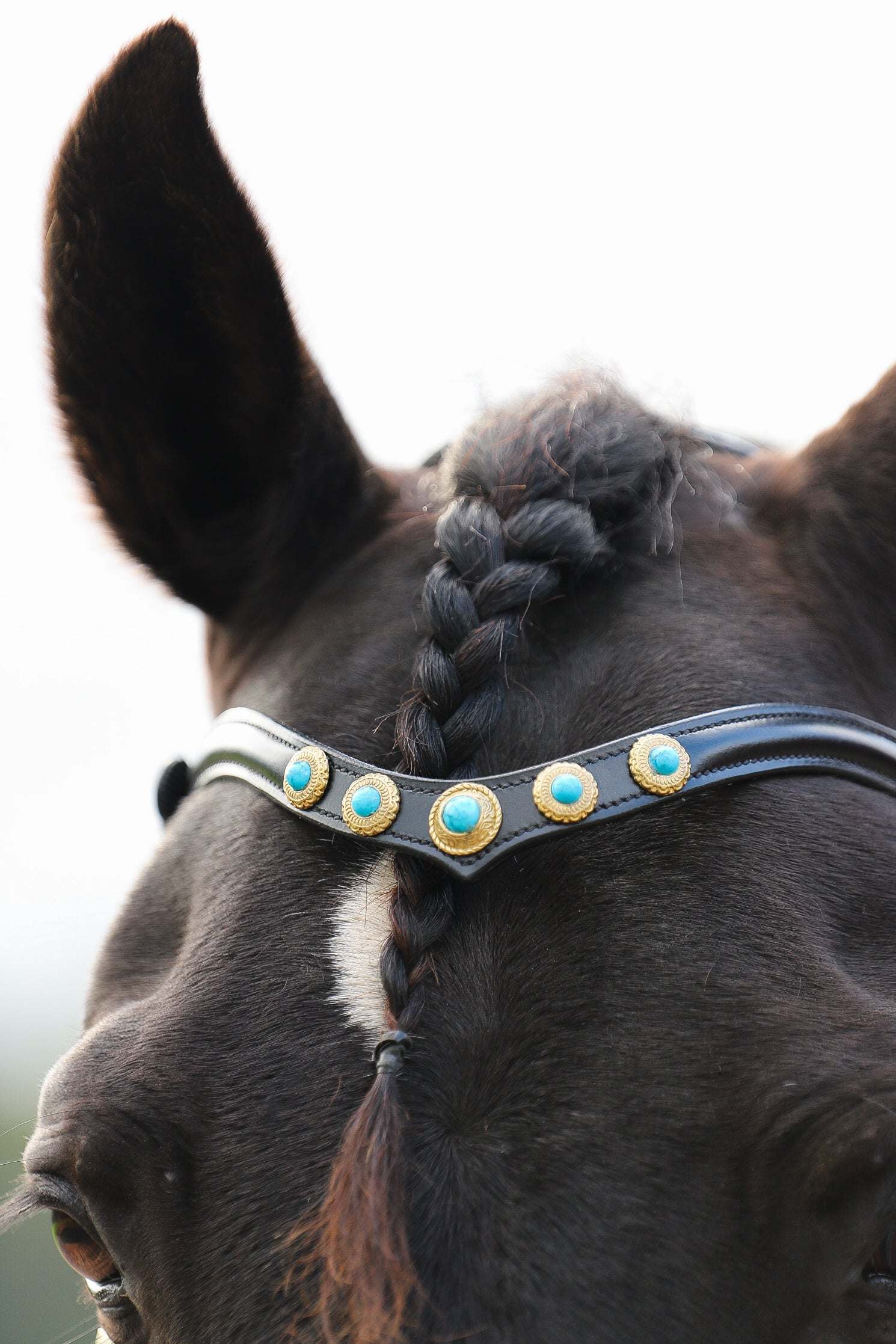 Dakota browband in soft Italian leather with brass and turquoise details in black, brown, and cognac colors